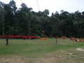 Tn DSC 6354